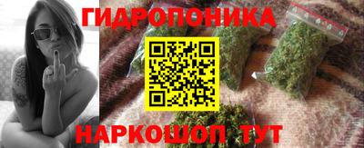 a pvp Гусев