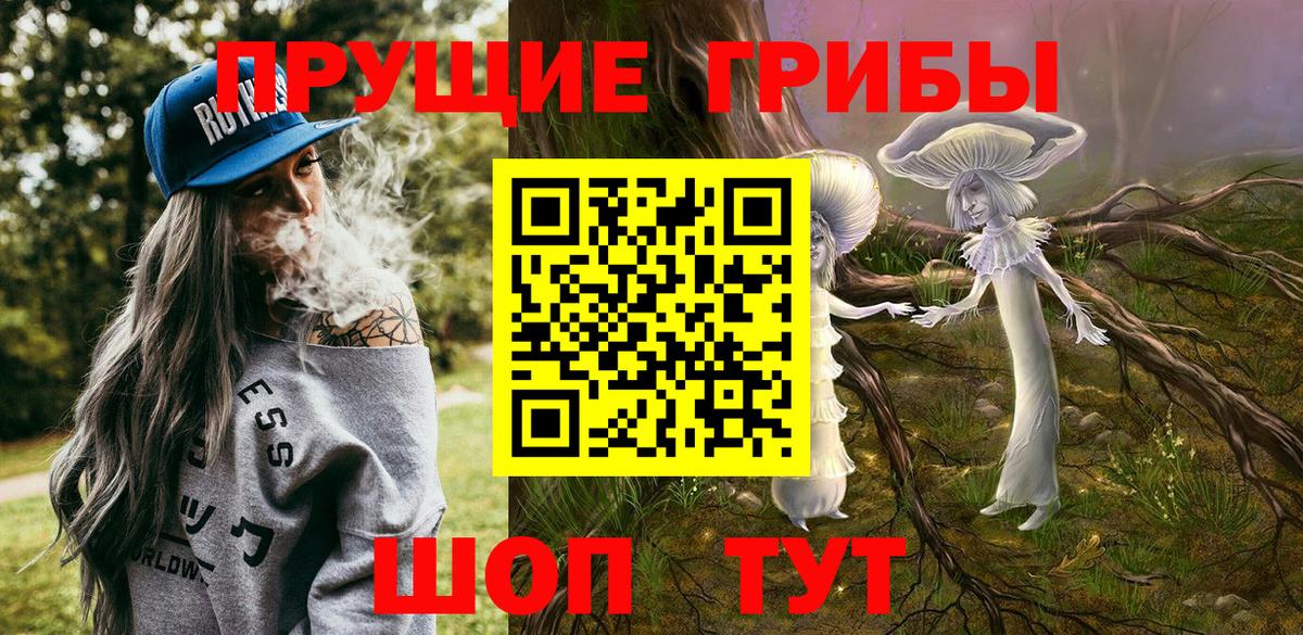 Псилоцибиновые грибы Psilocybine cubensis Мариинск